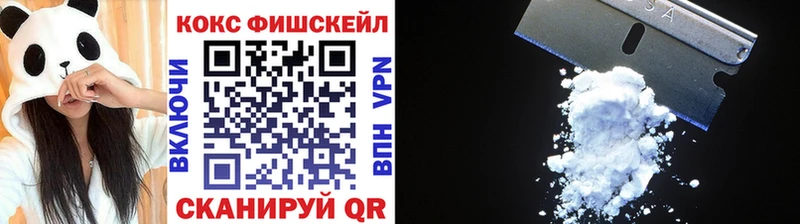 Купить закладки  Юрьев-Польский  Cocaine Эквадор 